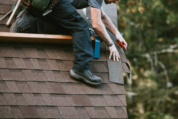 Best Roof Repair Services  in Oliver Springs, TN