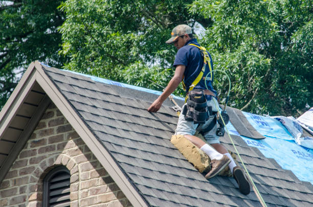 Best Roof Maintenance Services  in Oliver Springs, TN